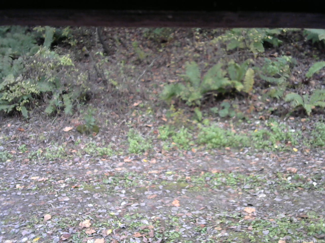 長野県菅平高原 ゆたか山荘 南側 2025/10/22 14:15
