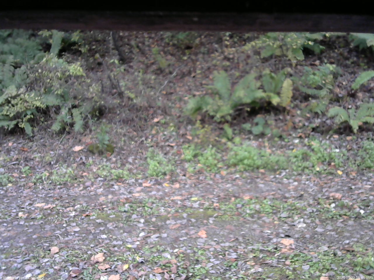 長野県菅平高原 ゆたか山荘 南側 2025/10/22 15:45