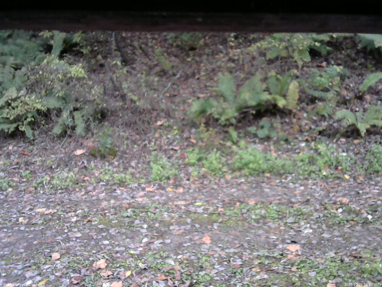 長野県菅平高原 ゆたか山荘 南側 2025/10/22 16:15