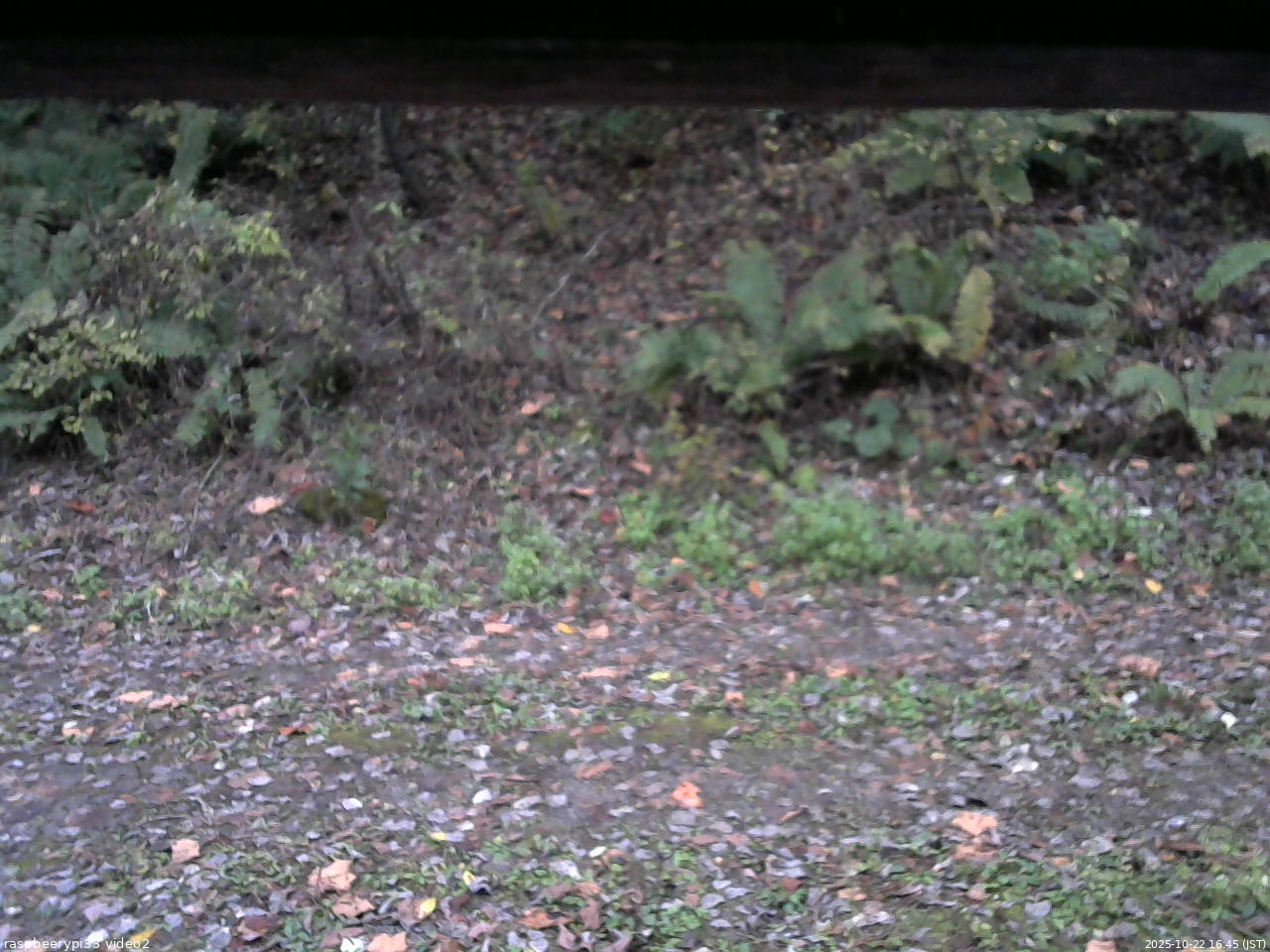 長野県菅平高原 ゆたか山荘 南側 2025/10/22 16:45