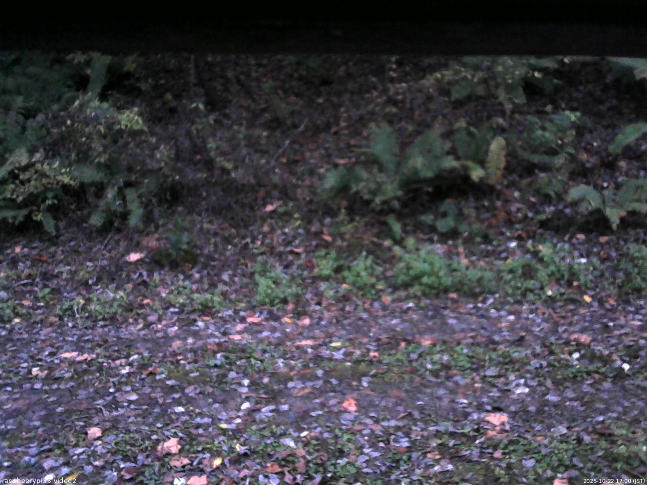 長野県菅平高原 ゆたか山荘 南側 2025/10/22 17:00