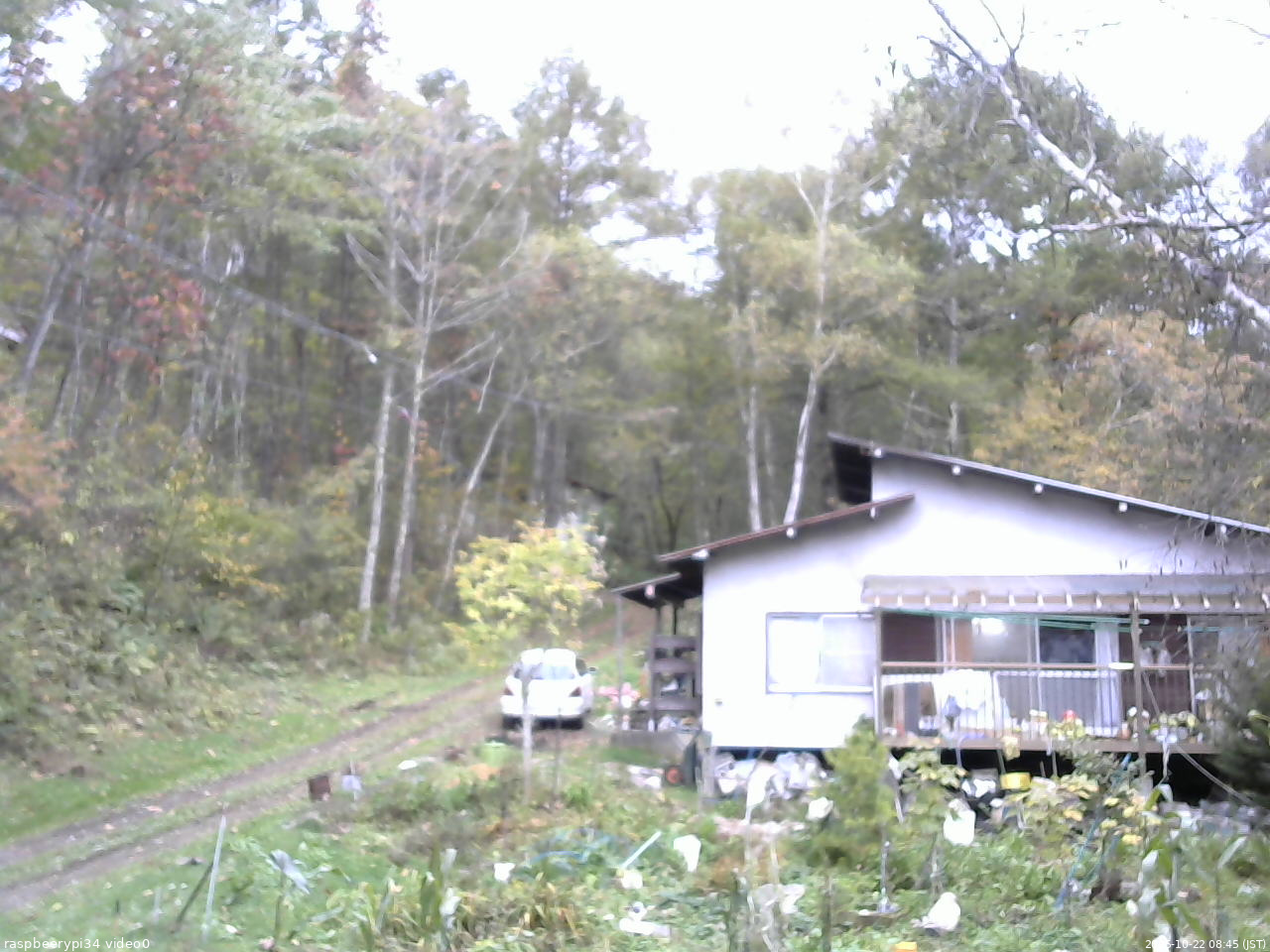 長野県菅平高原 ゆたか山荘 西側(坂上) 2025/10/22 08:45