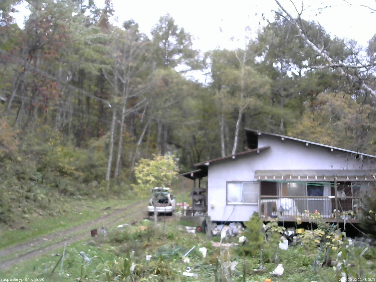 長野県菅平高原 ゆたか山荘 西側(坂上) 2025/10/22 11:45