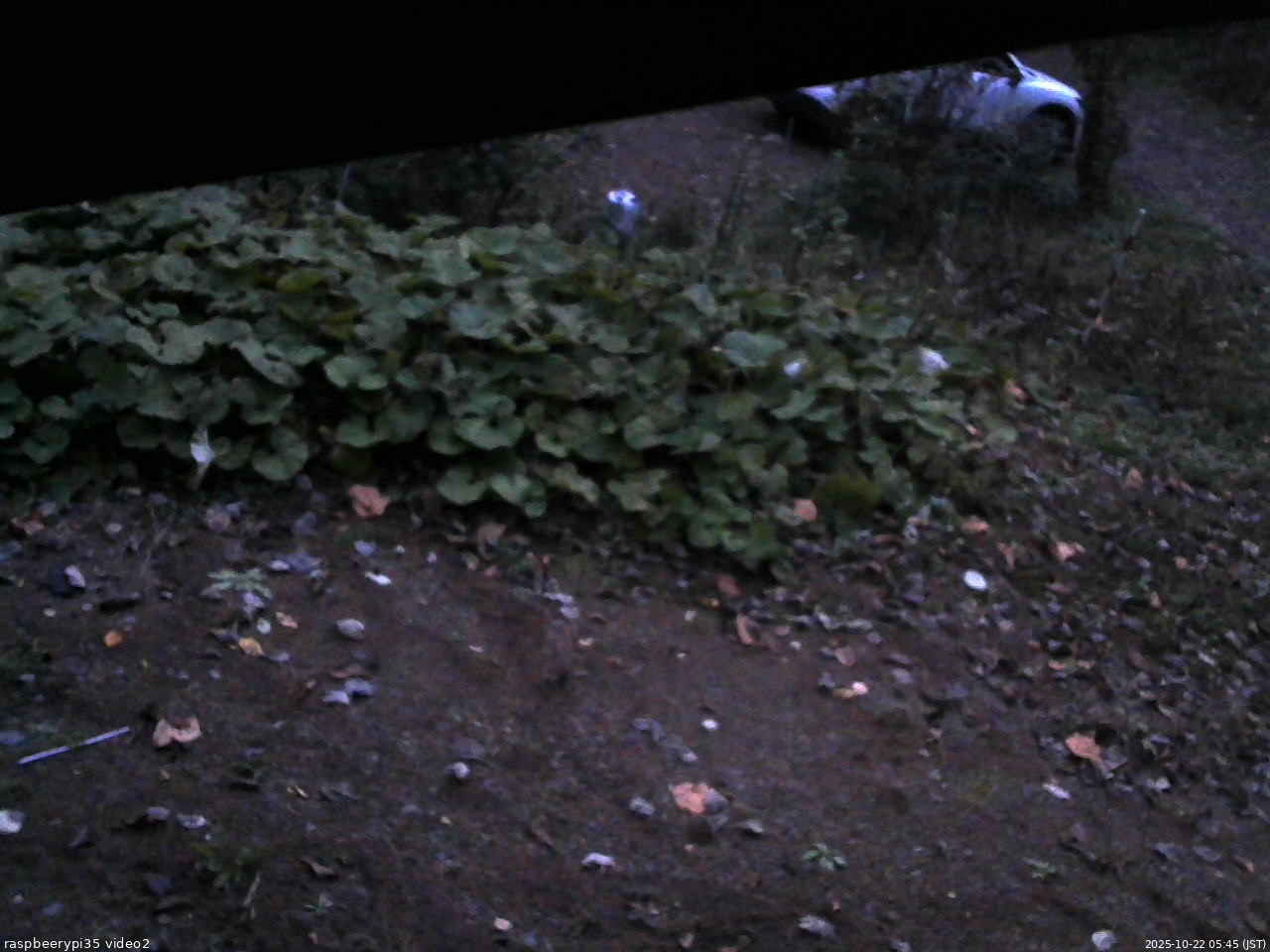 長野県菅平高原 ゆたか山荘 駐車場 2025/10/22 05:45