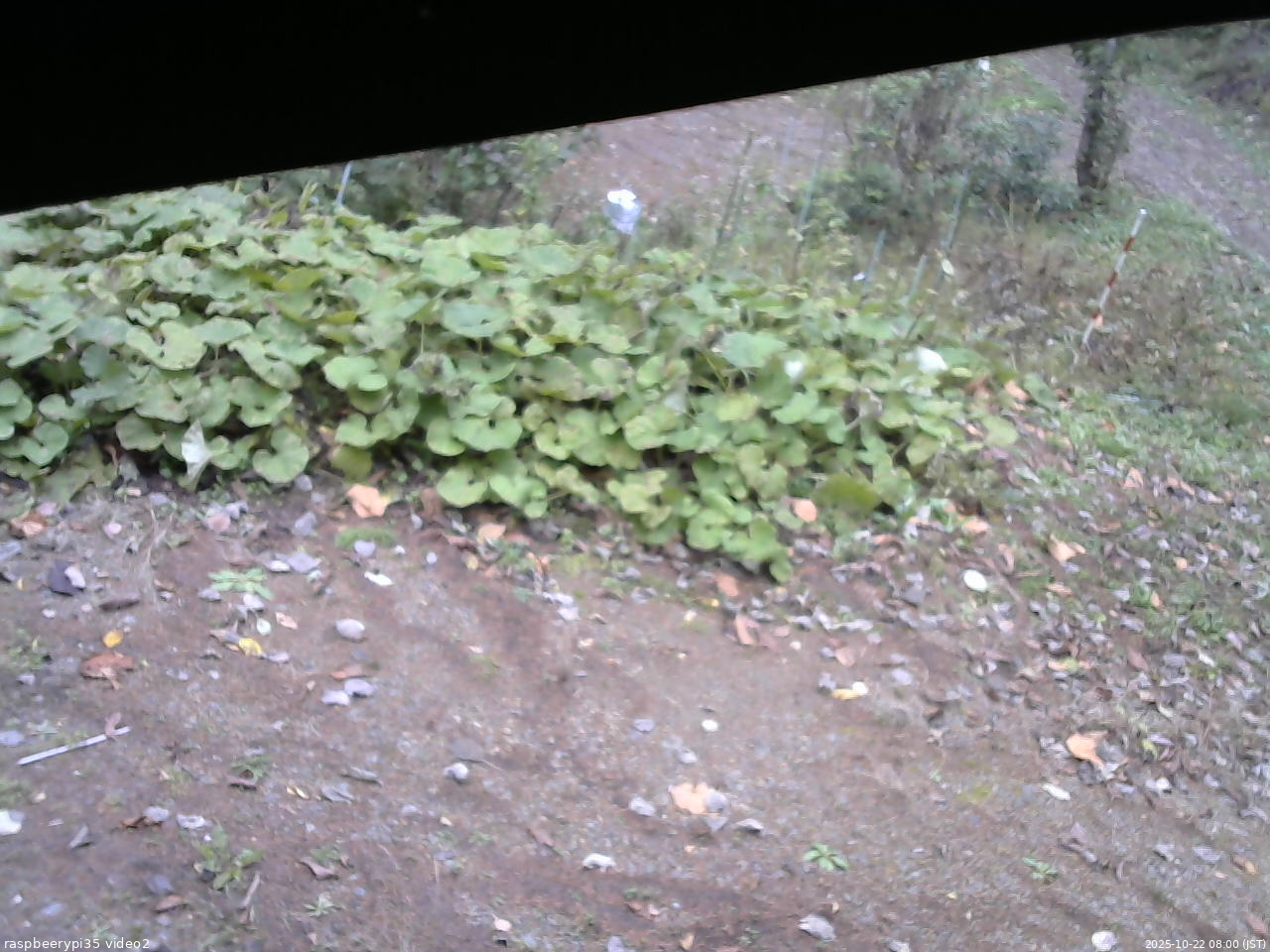 長野県菅平高原 ゆたか山荘 駐車場 2025/10/22 08:00
