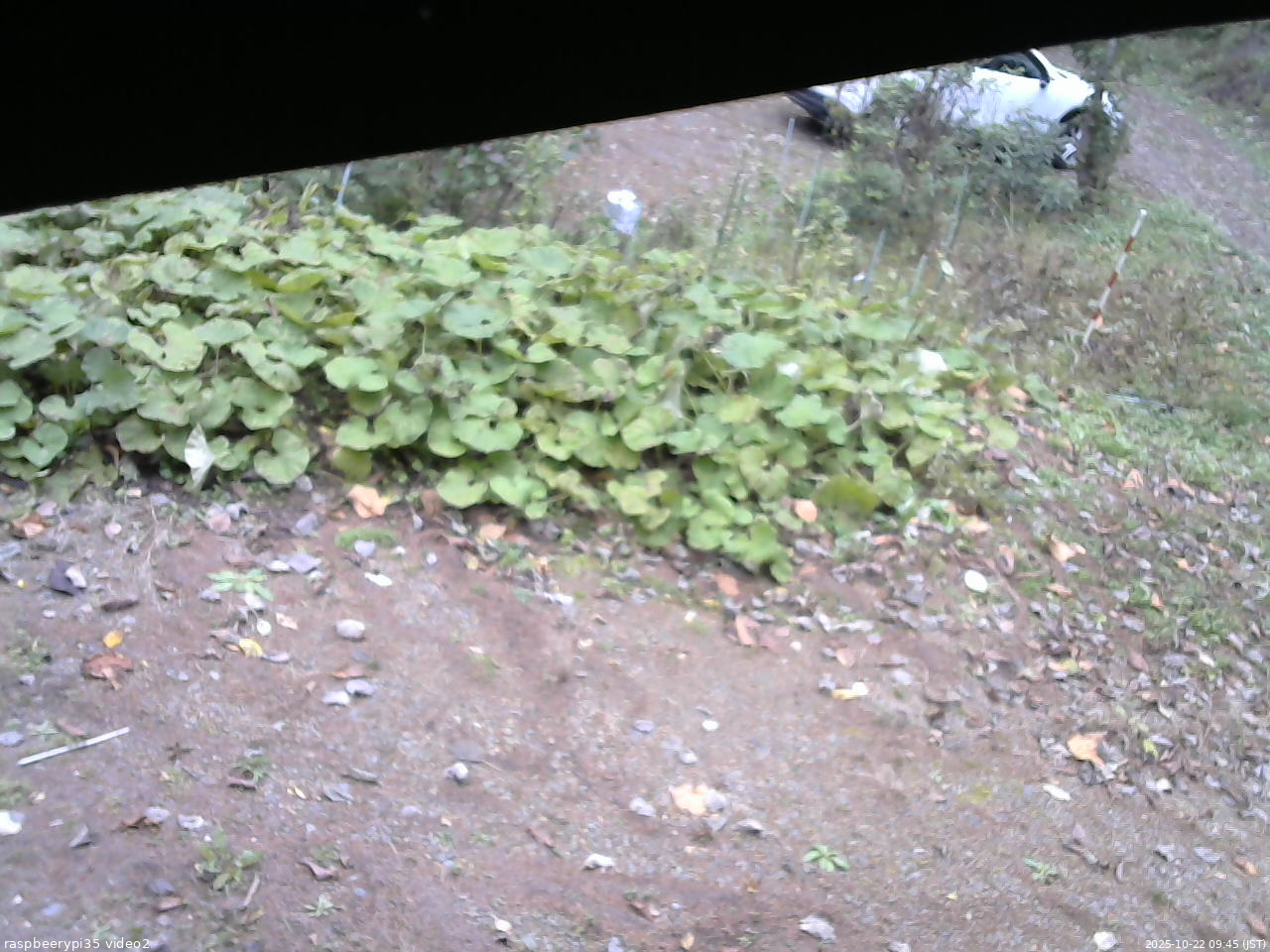 長野県菅平高原 ゆたか山荘 駐車場 2025/10/22 09:45