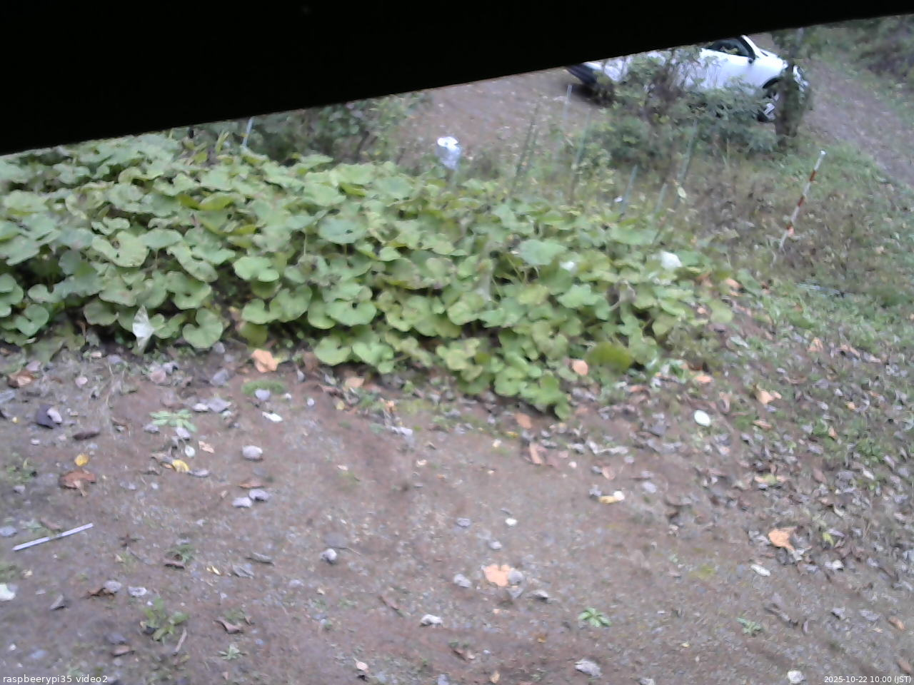 長野県菅平高原 ゆたか山荘 駐車場 2025/10/22 10:00