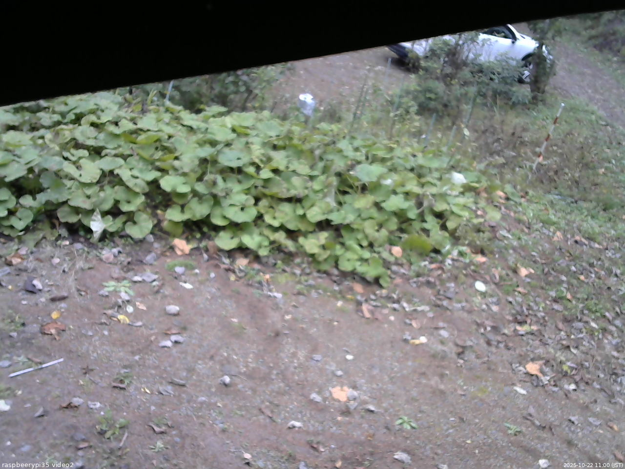 長野県菅平高原 ゆたか山荘 駐車場 2025/10/22 11:00