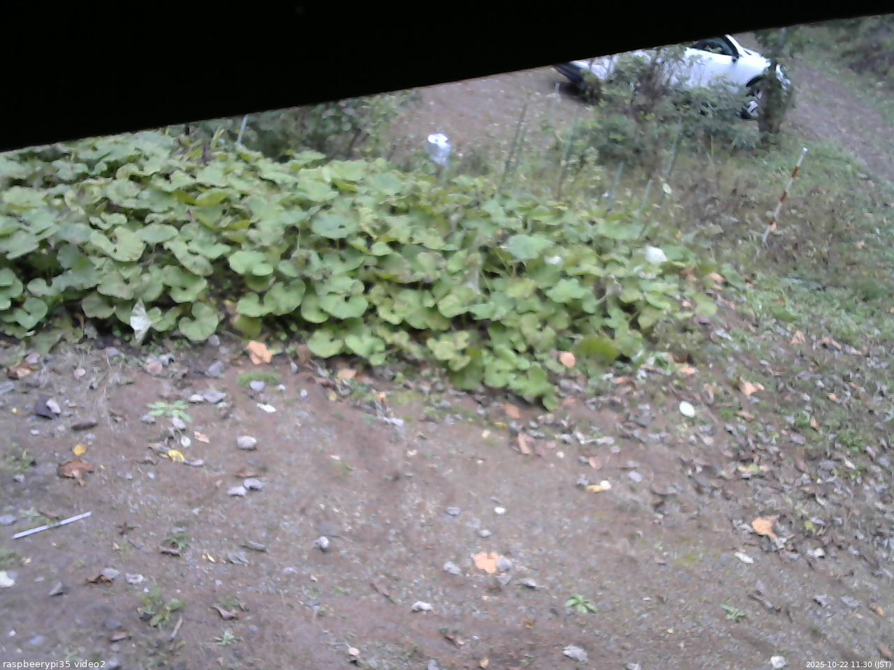 長野県菅平高原 ゆたか山荘 駐車場 2025/10/22 11:30