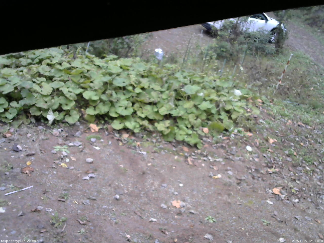 長野県菅平高原 ゆたか山荘 駐車場 2025/10/22 12:00