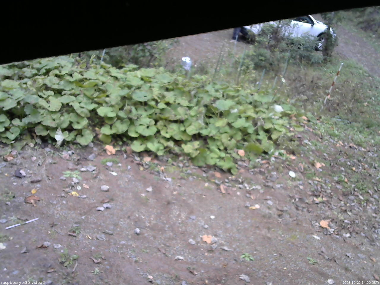 長野県菅平高原 ゆたか山荘 駐車場 2025/10/22 14:00