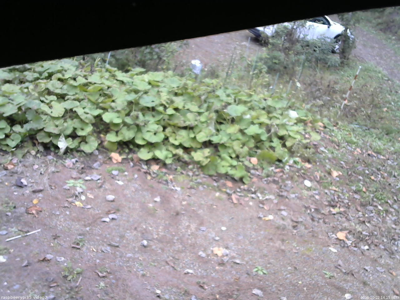 長野県菅平高原 ゆたか山荘 駐車場 2025/10/22 14:15