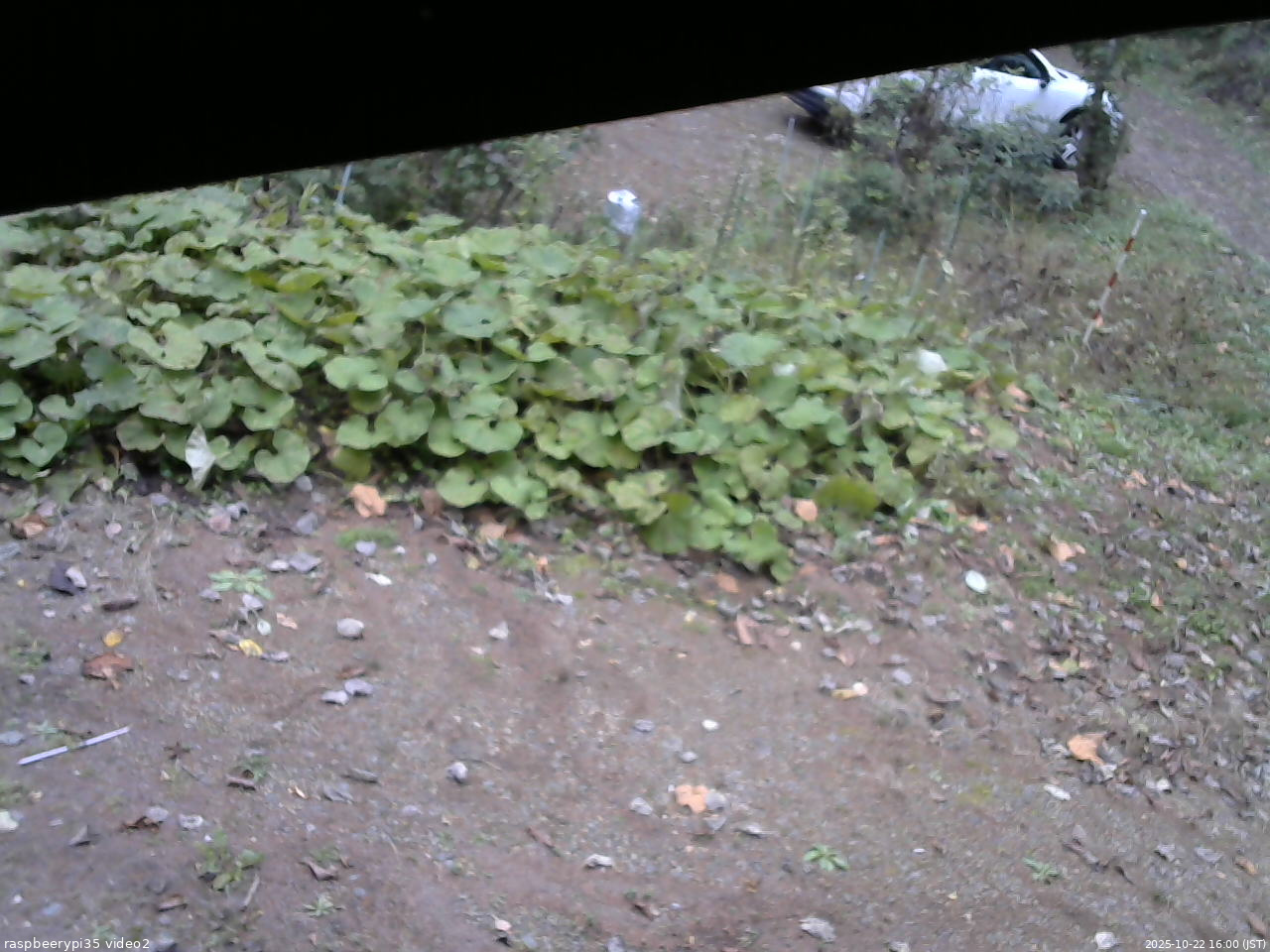 長野県菅平高原 ゆたか山荘 駐車場 2025/10/22 16:00