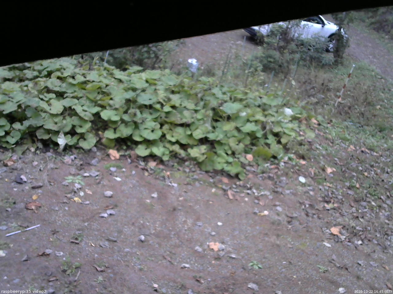 長野県菅平高原 ゆたか山荘 駐車場 2025/10/22 16:45
