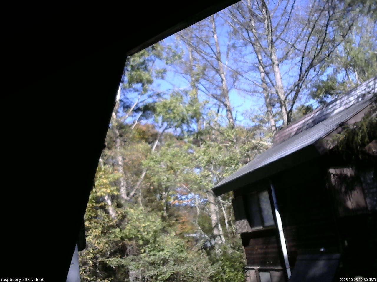 長野県菅平高原 ゆたか山荘 北側 2025/10/23 12:30