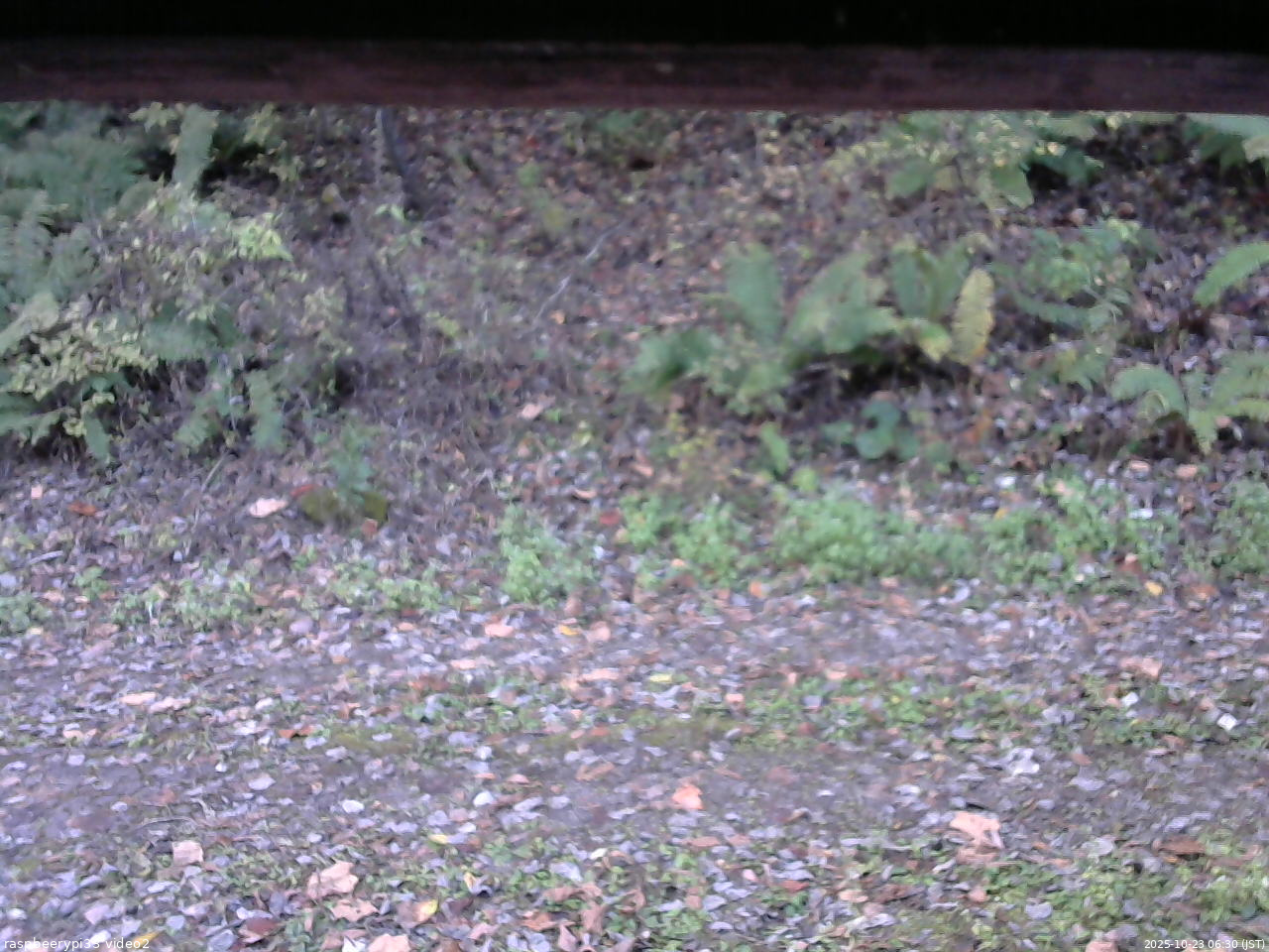 長野県菅平高原 ゆたか山荘 南側 2025/10/23 06:30