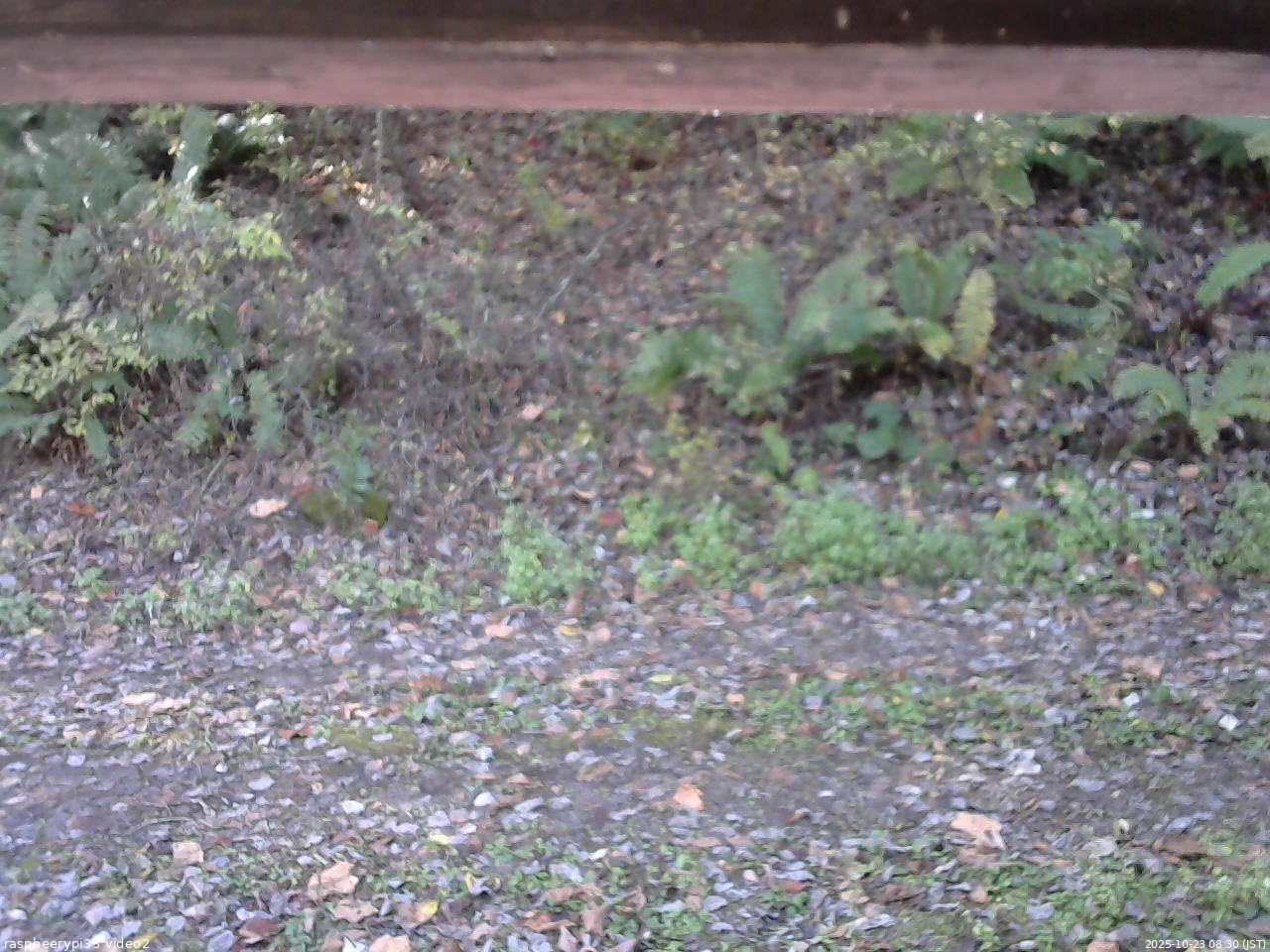 長野県菅平高原 ゆたか山荘 南側 2025/10/23 08:30