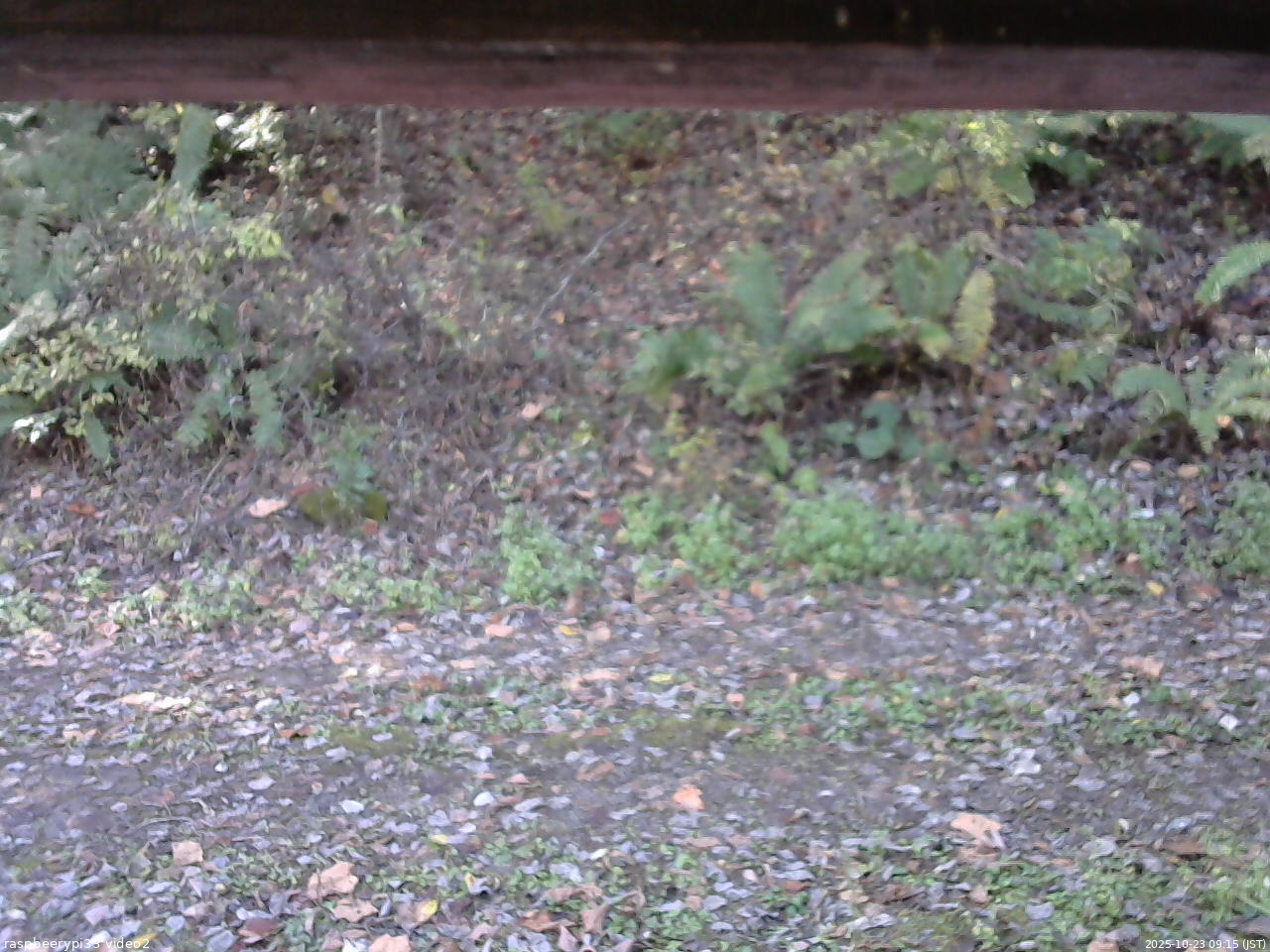 長野県菅平高原 ゆたか山荘 南側 2025/10/23 09:15