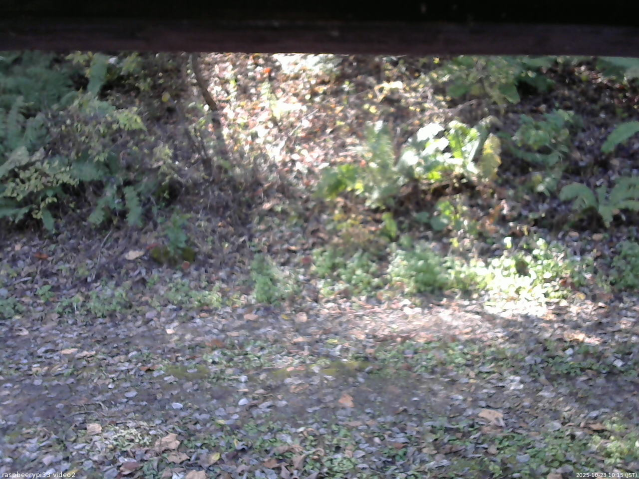 長野県菅平高原 ゆたか山荘 南側 2025/10/23 10:15