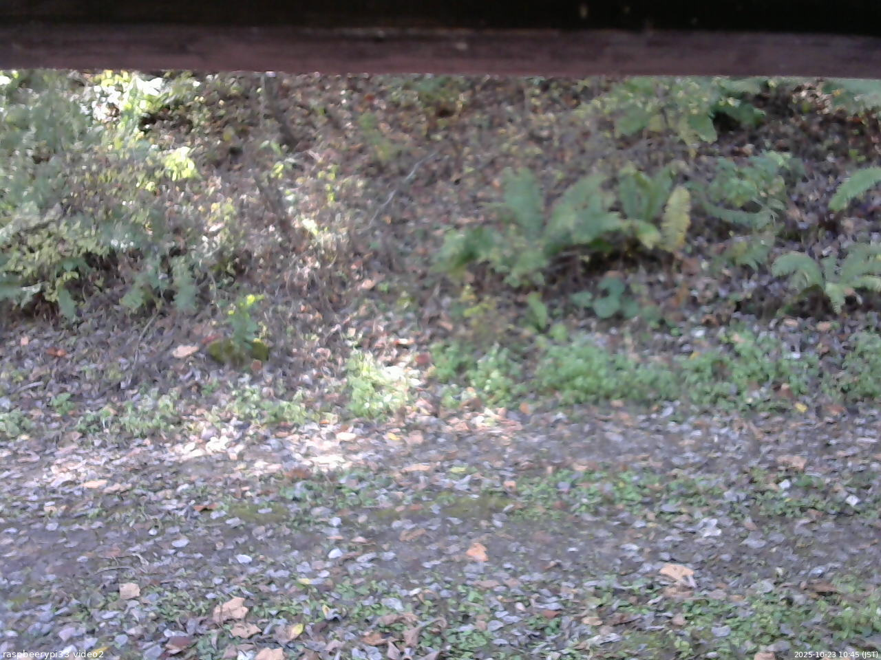 長野県菅平高原 ゆたか山荘 南側 2025/10/23 10:45