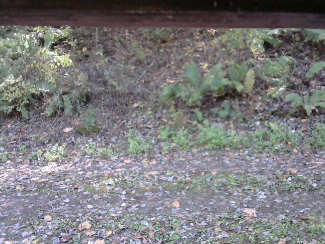 長野県菅平高原 ゆたか山荘 南側 2025/10/23 11:00