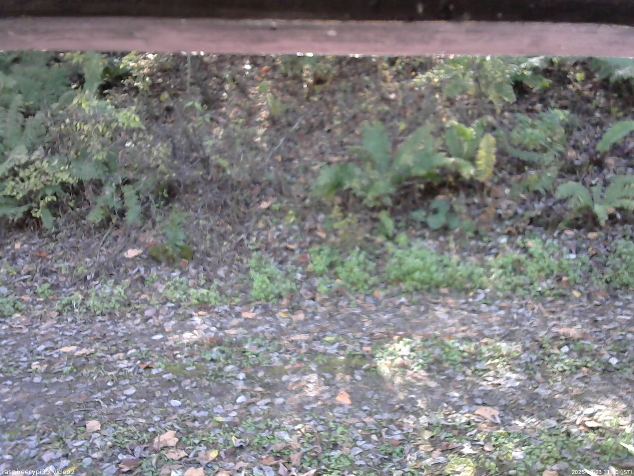 長野県菅平高原 ゆたか山荘 南側 2025/10/23 11:30