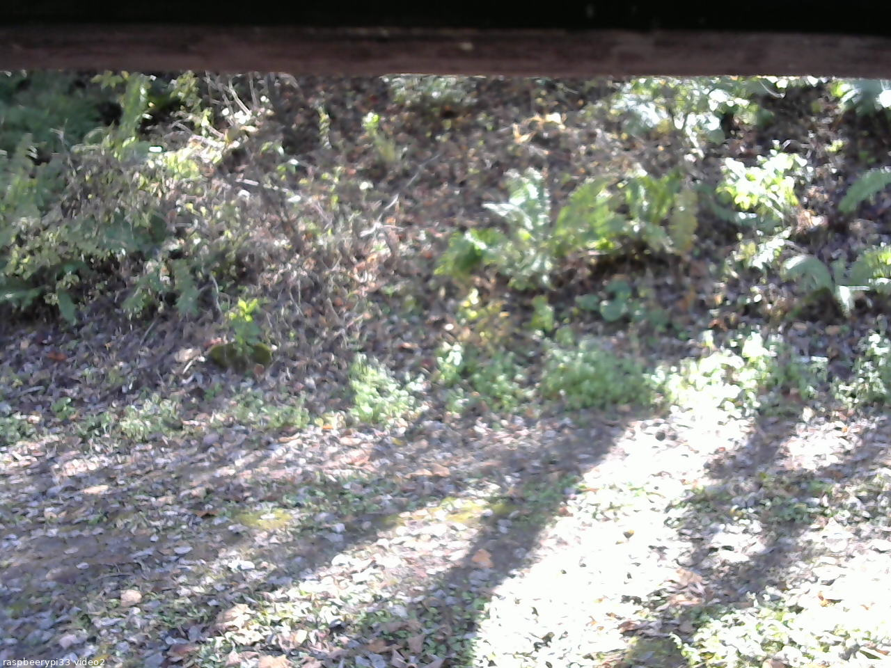 長野県菅平高原 ゆたか山荘 南側 2025/10/23 13:00