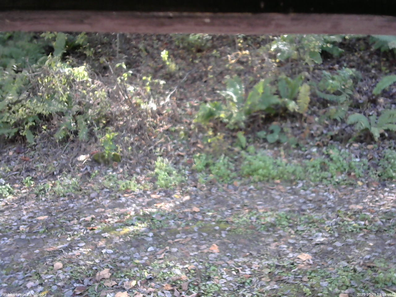 長野県菅平高原 ゆたか山荘 南側 2025/10/23 13:15