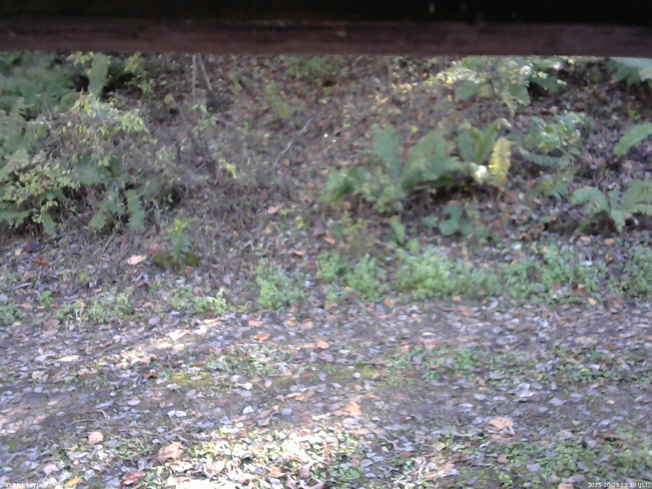 長野県菅平高原 ゆたか山荘 南側 2025/10/23 13:30
