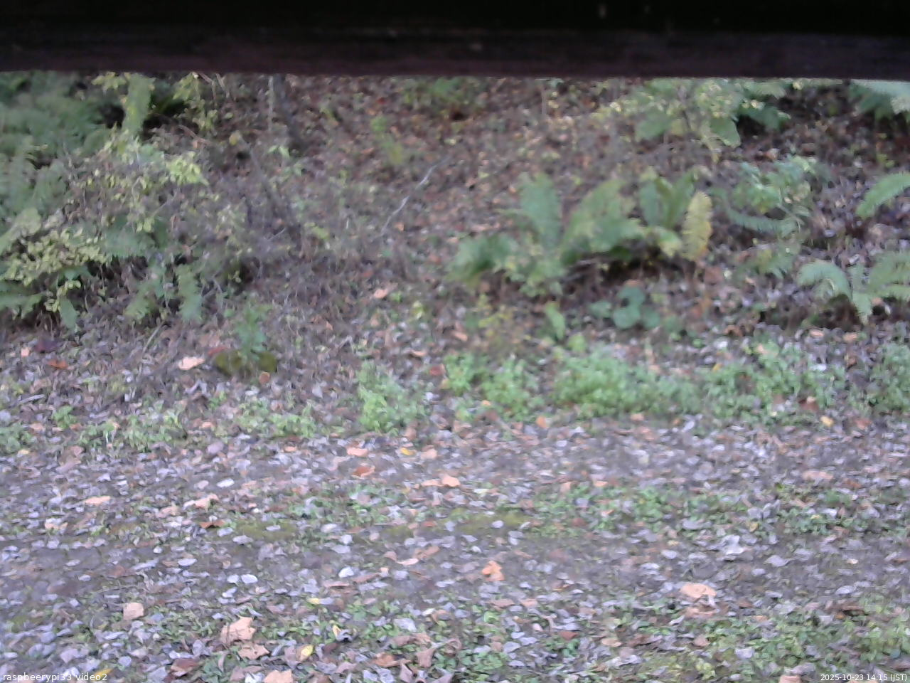 長野県菅平高原 ゆたか山荘 南側 2025/10/23 14:15
