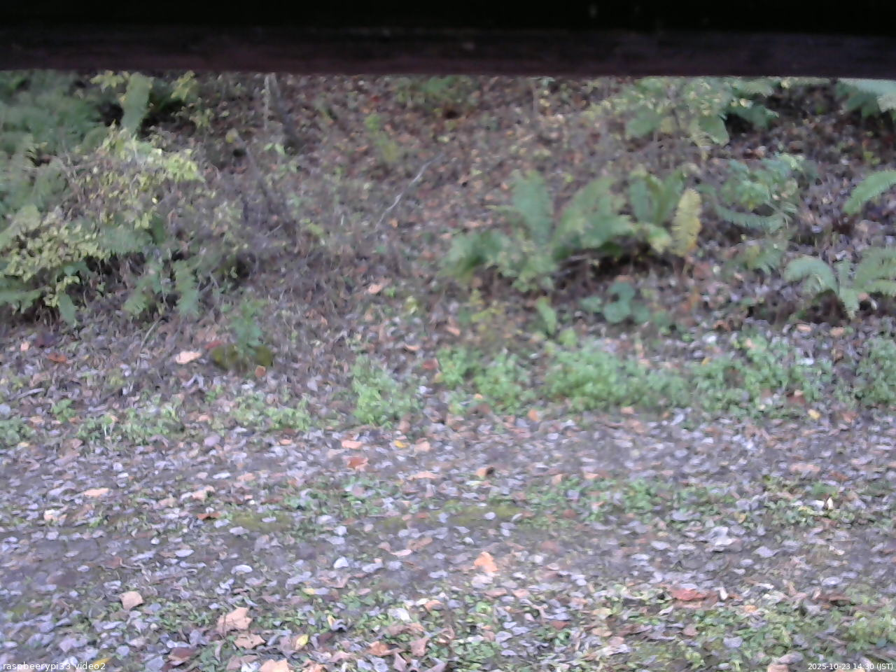 長野県菅平高原 ゆたか山荘 南側 2025/10/23 14:30