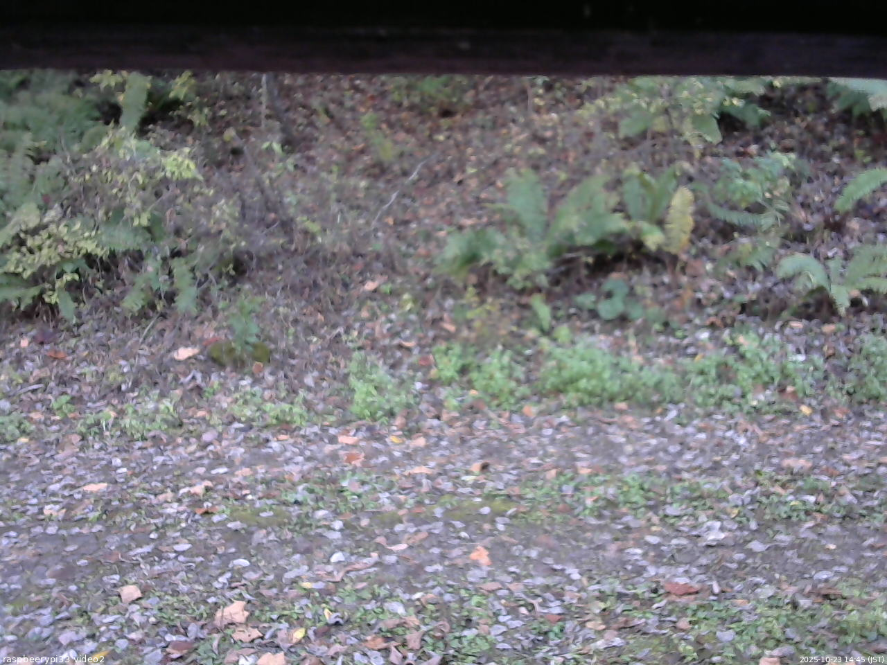長野県菅平高原 ゆたか山荘 南側 2025/10/23 14:45