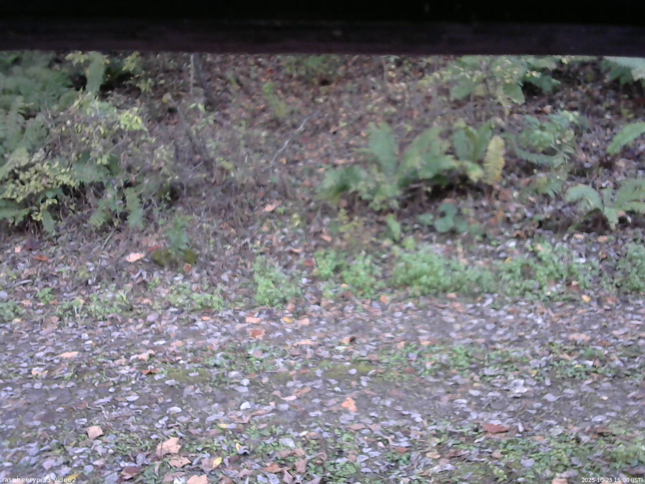 長野県菅平高原 ゆたか山荘 南側 2025/10/23 15:00