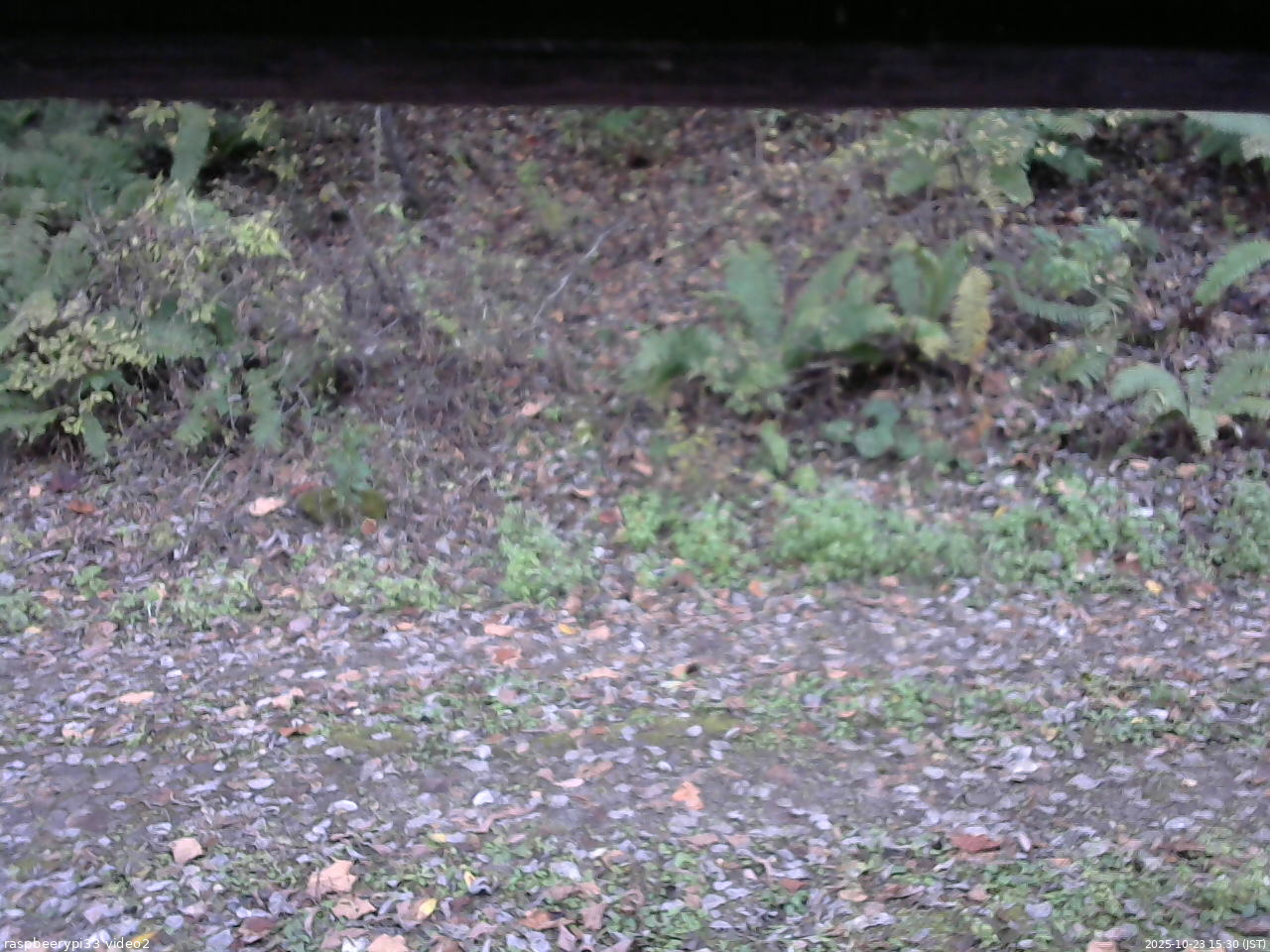 長野県菅平高原 ゆたか山荘 南側 2025/10/23 15:30