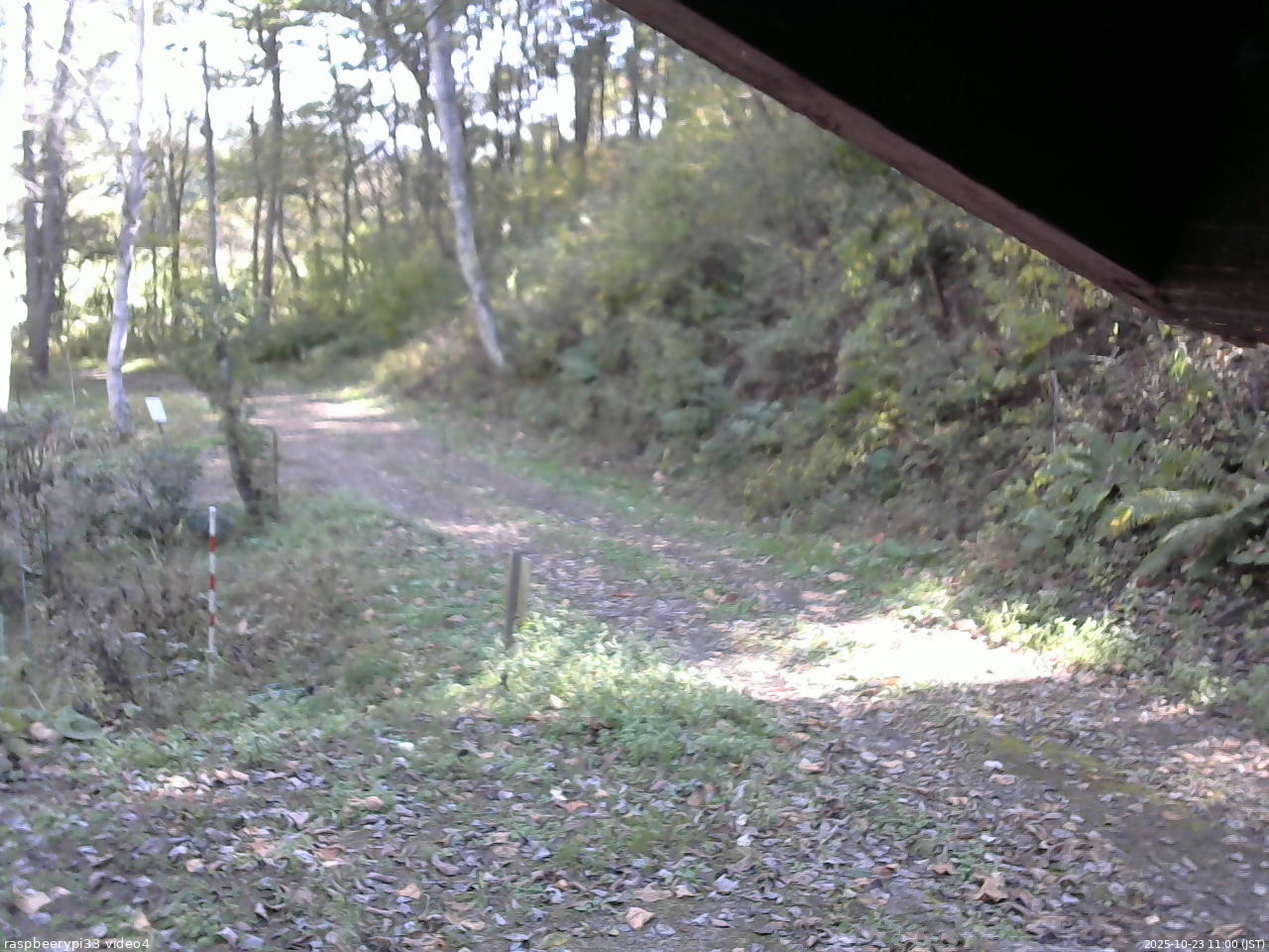 長野県菅平高原 ゆたか山荘 東側(坂下) 2025/10/23 11:00