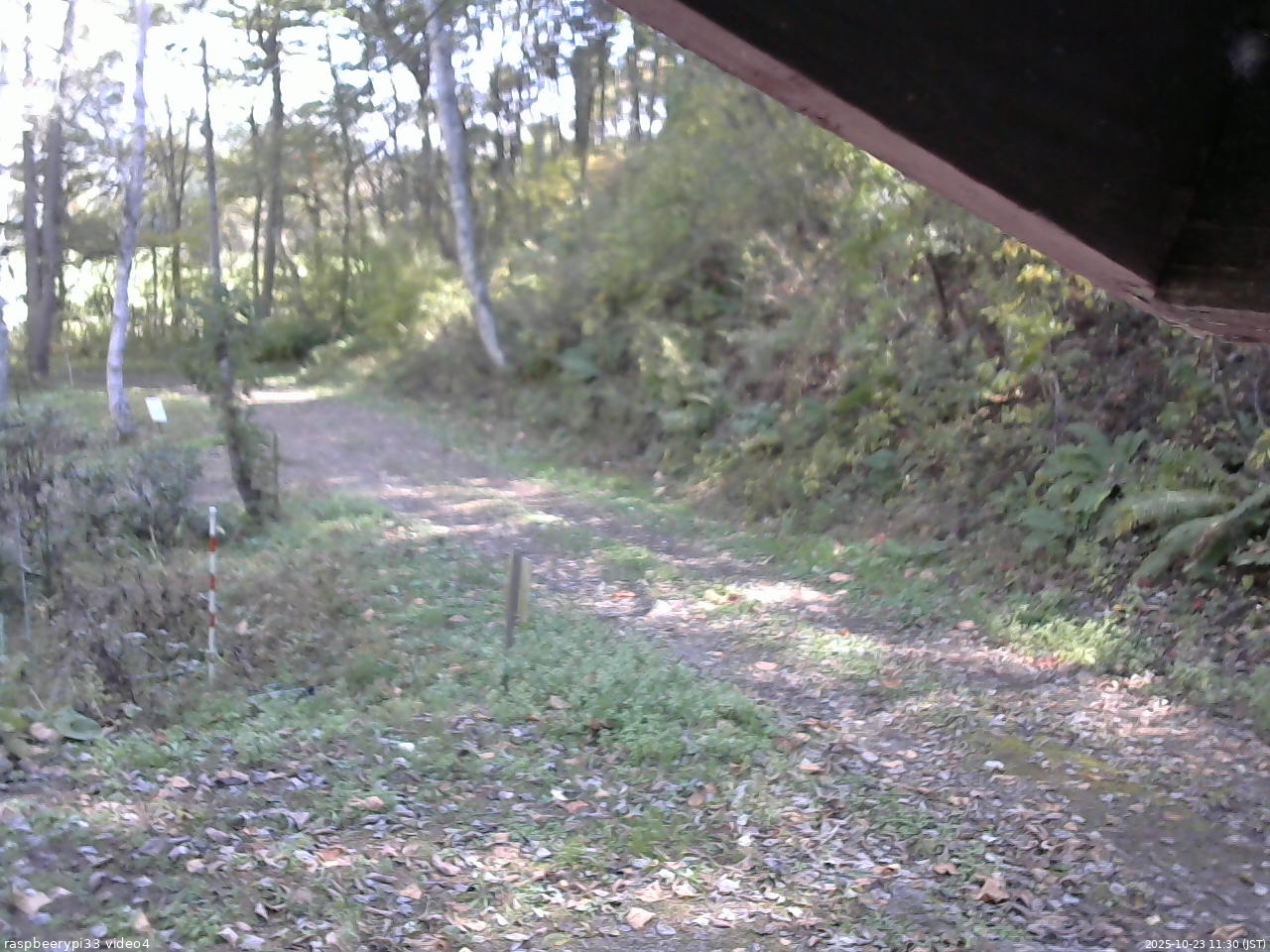 長野県菅平高原 ゆたか山荘 東側(坂下) 2025/10/23 11:30