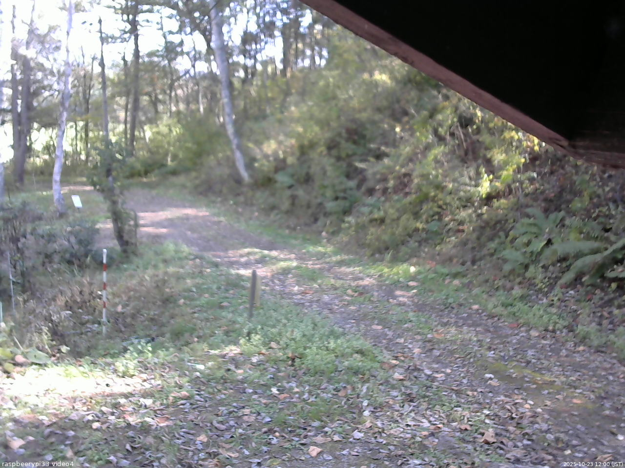 長野県菅平高原 ゆたか山荘 東側(坂下) 2025/10/23 12:00