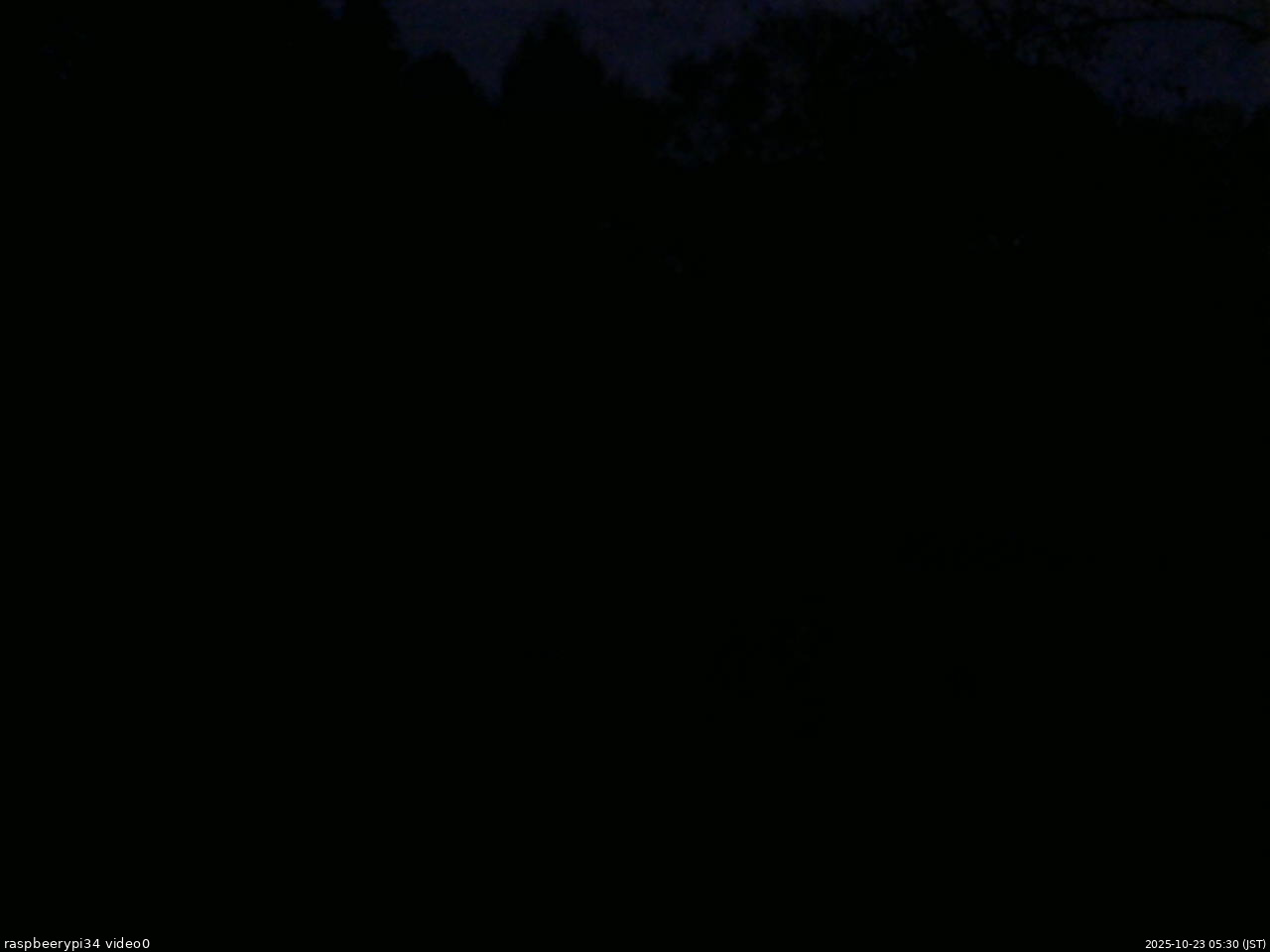 長野県菅平高原 ゆたか山荘 西側(坂上) 2025/10/23 05:30