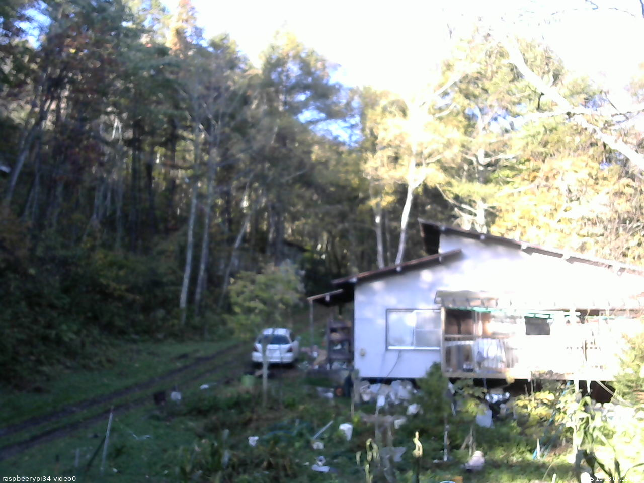 長野県菅平高原 ゆたか山荘 西側(坂上) 2025/10/23 07:15