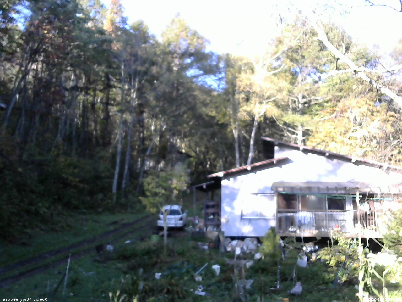 長野県菅平高原 ゆたか山荘 西側(坂上) 2025/10/23 07:30