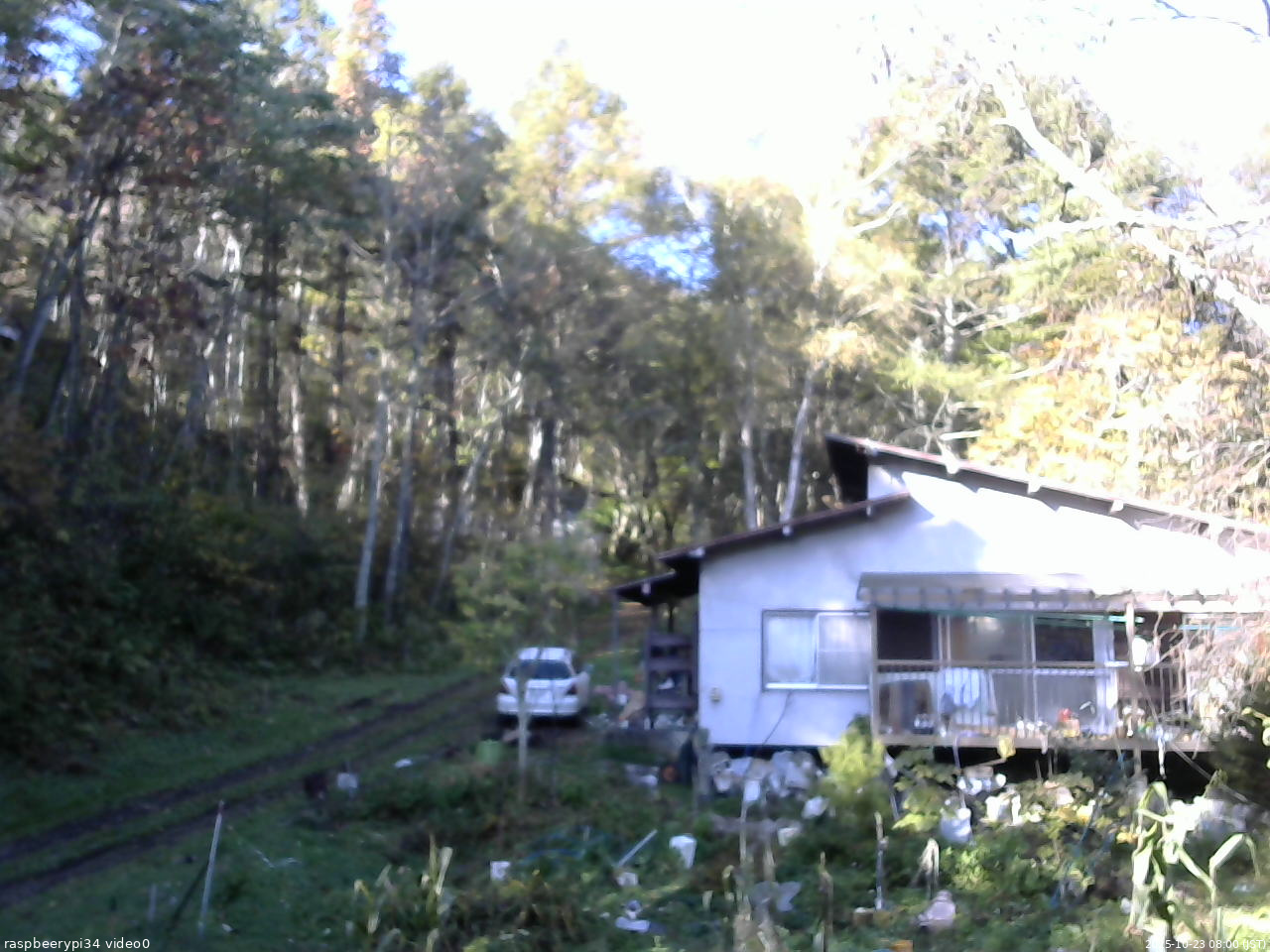 長野県菅平高原 ゆたか山荘 西側(坂上) 2025/10/23 08:00