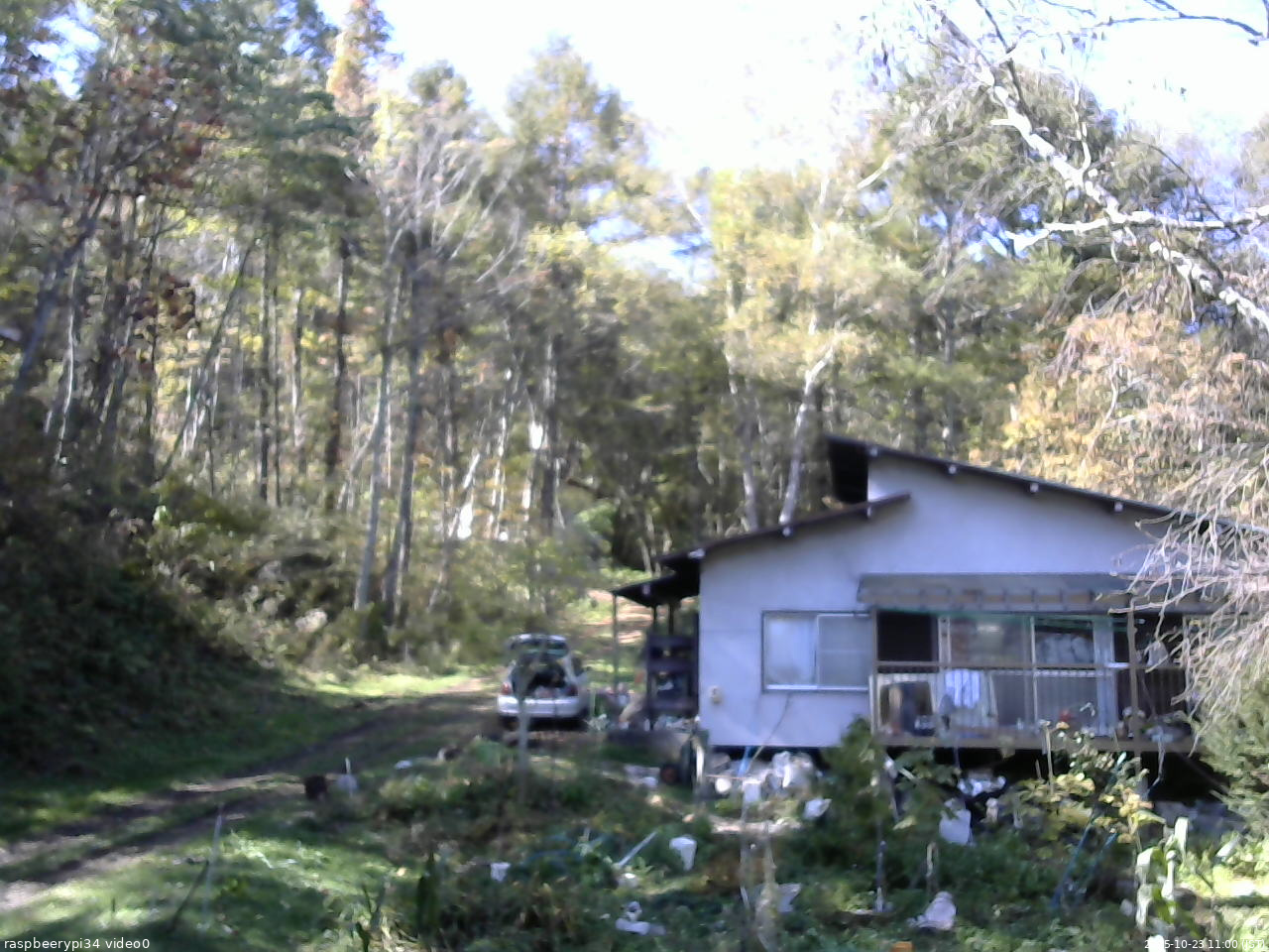長野県菅平高原 ゆたか山荘 西側(坂上) 2025/10/23 11:00