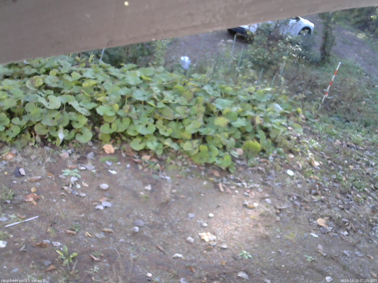 長野県菅平高原 ゆたか山荘 駐車場 2025/10/23 07:30