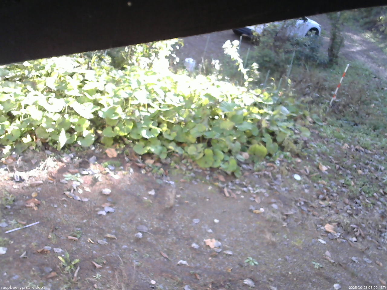 長野県菅平高原 ゆたか山荘 駐車場 2025/10/23 08:00