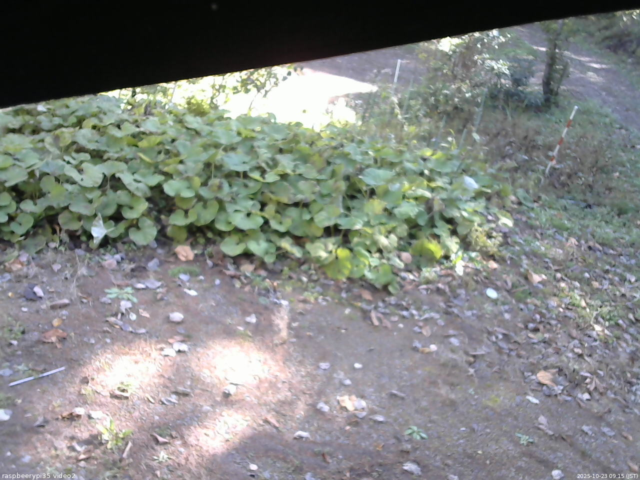 長野県菅平高原 ゆたか山荘 駐車場 2025/10/23 09:15