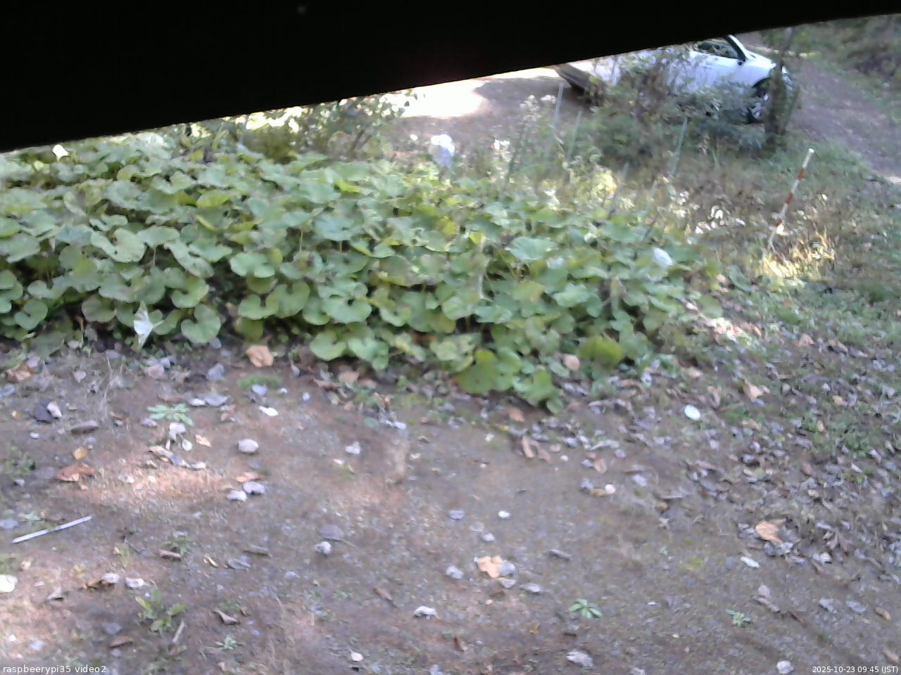 長野県菅平高原 ゆたか山荘 駐車場 2025/10/23 09:45