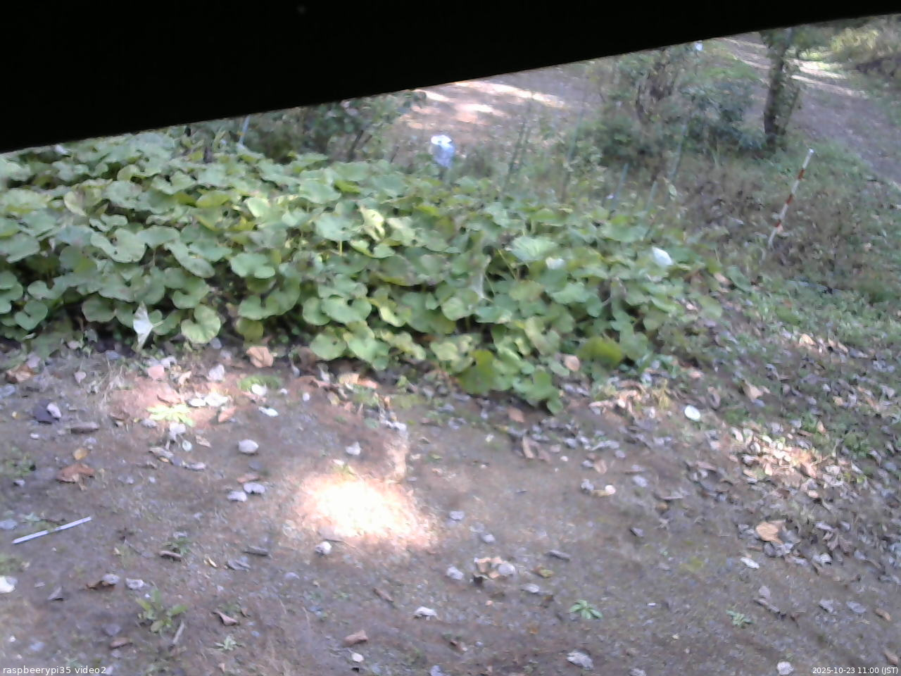 長野県菅平高原 ゆたか山荘 駐車場 2025/10/23 11:00