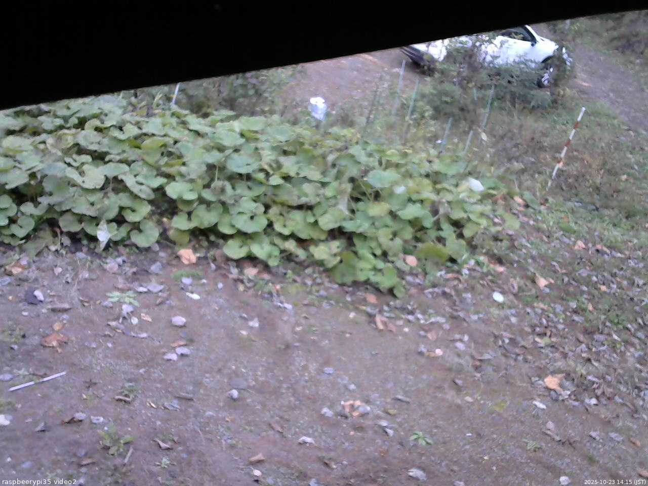 長野県菅平高原 ゆたか山荘 駐車場 2025/10/23 14:15