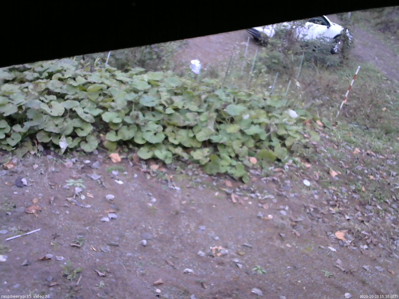 長野県菅平高原 ゆたか山荘 駐車場 2025/10/23 15:30