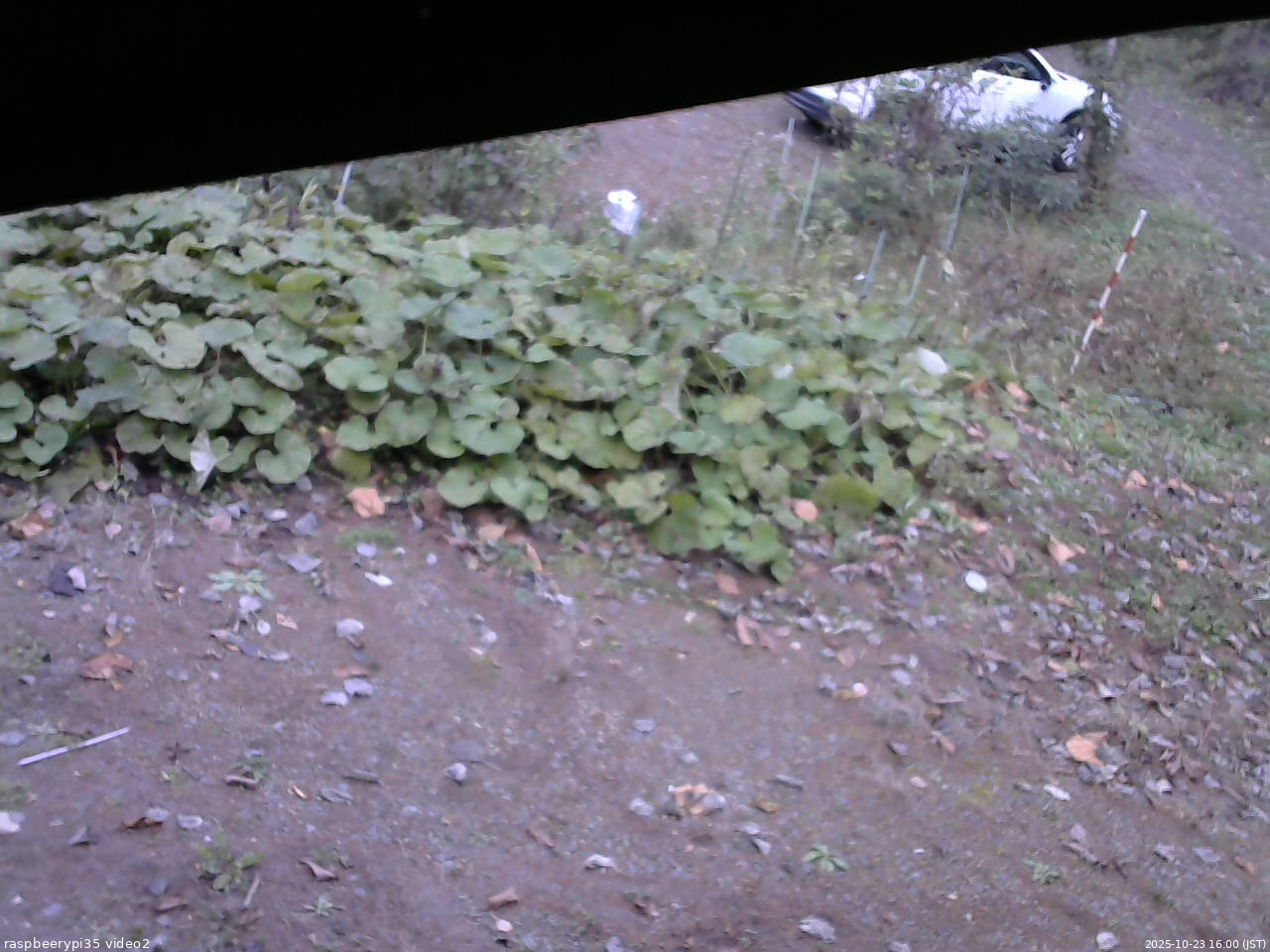 長野県菅平高原 ゆたか山荘 駐車場 2025/10/23 16:00